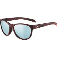 Alpina - Nacan II S3 - Sonnenbrille grau