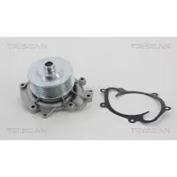 TRISCAN Wasserpumpe 8600 23018