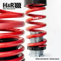 H&R Spezialfedern Fahrwerksatz, Federn Gewindefedersatz 23023-1