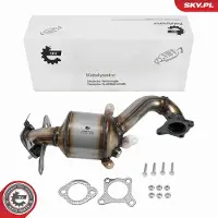ESEN SKV Katalysator 62SKV134