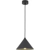 Licht-Erlebnisse Pendelleuchte Metall E27 D: 21 cm rund H: max. 155 cm Schwarz Retro