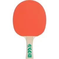 PRO TOUCH TT-Schläger Pro 2000 cinnamon cinnamon -