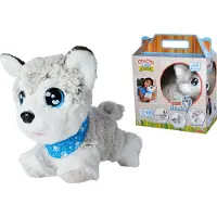 Simba Chi Chi Love Happy Husky