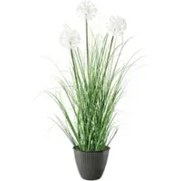 P&b Kunstpflanze Daisy mit Übertopf, ca. 78cm
