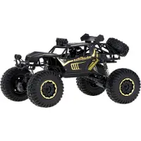Pricenet RC Auto Rock Crawler 2.4GHz 1:8 51 cm schwarz