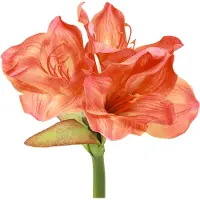 Viana Künstliche Amaryllis Blumen Orange Dekoration 55cm 2er Set - Täuschend Echte Kunstblumen Deko für Zuhause und Festlichkeiten, 2 Stück
