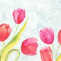 Duni Tissue-Serviette 40 x 40 cm Painted Tulips 3-lagig, 1250 Stk/Krt (5 x 250 Stk)