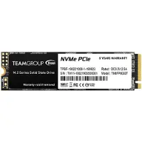 Team Group MP33, 256 GB, M.2, 1600 MB/s