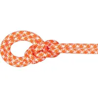 Mammut - 9.5 Crag Classic Rope - Einfachseil Gr 60 m bunt