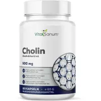 VitaSanum Cholin 500 mg – Cholinbitartrat 120 St Kapseln