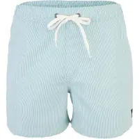 Quiksilver Everyday Deluxe Volley 15´´ Badeshorts