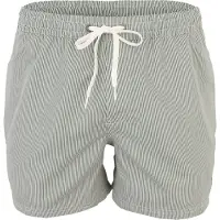 Quiksilver Badeshorts Everyday Deluxe EQYJV04101 Grün Regular Fit