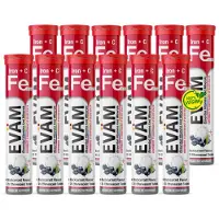 EVÄM Eisen + Vitamin C Brausetabletten Blackcurrant – 14 mg Eisen + 80 mg Vitamin C, 12er Röhrchen mit 240 St, vegan ohne Zuckerzusatz Germany