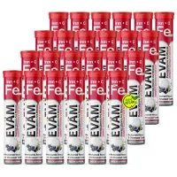 EVÄM Eisen + Vitamin C Brausetabletten Blackcurrant – 14 mg Eisen + 80 mg Vitamin C, 2er Röhrchen mit 40 St, vegan, ohne Zuckerzusatz, Germany
