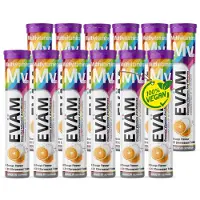 EVÄM Multivitamin Plus Brausetabletten – 10 Vitamine in 1 Tablette-vegan, made Germany- 12er Pack 240 St