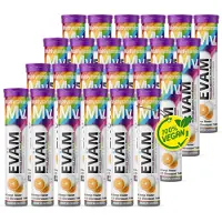 EVÄM Multivitamin Plus Brausetabletten – 10 Vitamine in 1 Tablette-vegan, made Germany- 24er Pack 480 St