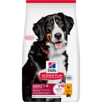 Hill's Pet Nutrition Science Plan Canine Adult Large breed Chicken 2 x 18 kg Hundefutter Huhn für große Rassen