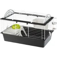 Ferplast Casita 80, Käfig, Meerschweinchen, Schwarz, Weiß, Kunststoff, Metall, 1 Tür(en), 780 mm
