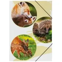 Pagna Sammelmappe PP Native, A3