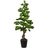 P&b Bonsai 3320179LO-50 aus Kunststoff