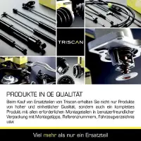 TRISCAN Gasfeder Koffer-/Laderaum Hub 100 mm 640 N für BMW 7er