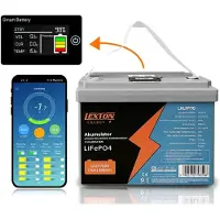 Lamex Lexton Lithium-Eisen-Phosphat LiFePo4 Akku mit BMS 12,8V 70Ah LXLFP70