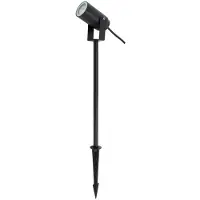Lyora Spike-Punkt Roty Spike L
