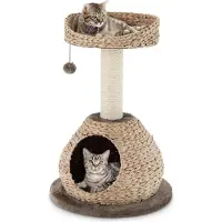 StarTech.com Kratzbaum - Katzenbaum - 72 cm Höhe - 2 Etagen - Sisalstämme - Weiche Kissen - Hängender Spielball - Für Katzen & Kätzchen - Braun/Beige