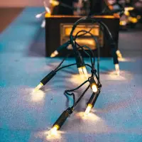 Hellum Lichterkette innen 35 klare warme Lichter, beleuchtet 5,10m, Kabel grün, Stecker