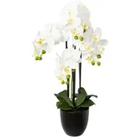 Creativ Green künstliche Pflanze Phalaenopsis, 69cm