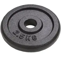 vidaXL Hantelscheiben 8 Stk. 8x2,5 kg Gusseisen