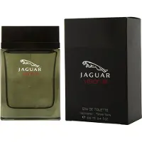 Jaguar Vision III Eau de Toilette Spray für Männer - Premium-Duft 100ml