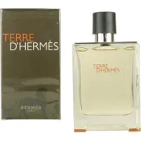 Hermès Paris Terre d'EDT 100 ml