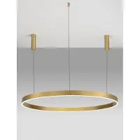 Lyora MOTIF LED Pendelleuchte Messing 72W Warmweiss 250x120cm dimmbar 9530202