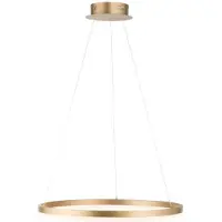 Paul Neuhaus LED Pendellampe TITUS Hängelampe rund dimmbar über Wandschalter warmweiß messing Wohnzimmer, Küche, Esszimmer
