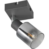 TRIO Schwarze Wandlampe Cadiz mit Rauchglas