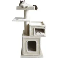 Nobby Kratzbaum Dados cream