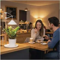 Emos LED-Grow-Lampe für Zimmerpflanzen und Kräuter, Wachstumslampe mit Timer, höhenverstellbar, Helligkeit 450lm, inkl. Netzteil, Z7905