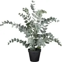 Modern Living Kunstpflanze Eucalypthus II Grau/Grün ca. 53cm