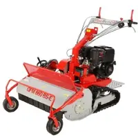 Geotech -Pro GFM 860 BS-E - Hochgrasmäher mit Hammerwerk - B&S XR2100