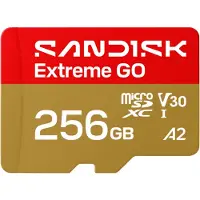 SanDisk Extreme GO, 256 GB, MicroSDXC, UHS-I, 240 MB/s, 160 MB/s, Class 3 (U3)