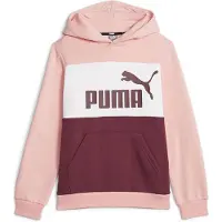 Puma Ess Block Fl Kapuzenpullover