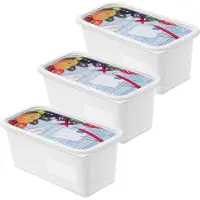 Rotho 3er Set Gefrierdosen mit Deckel Domino - Frischhaltedosen 1,5 L - Vorratsdosen 23,5 x 12,0 x 7,6 cm - Gefrierbehälter Aufbewahrungsboxen