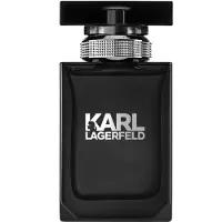 Karl Lagerfeld Pour Homme Eau De Toilette 30 ml (man)