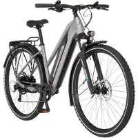 Fischer Fahrrad "TERRA 2.2 688 ACTIVE" 8 Gang Shimano ACERA Schaltwerk Heckmotor mit Akku-Ladegerät mit Werkzeug, Pedelec, Elektrofahrrad für Damen und Herren