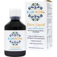 Hager Pharma GmbH BlueIron Eisen Liquid für ihr Wohlbefinden, 250 ml Lösung