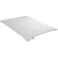 Badenia irisette Steppbett Irisette Microfaser Jette Mono Größe 155x220cm