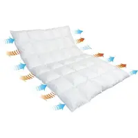Traumina Breeze Daune Duo-Einziehdecke WK 3 Größe 155x220 cm