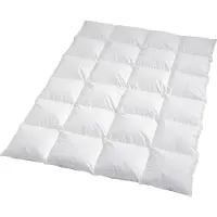 TRAUMSCHLAF Daunendecke Arktis warm, Füllung: 90% Daunen, 10% Federn 155x200 cm