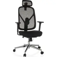 Hjh OFFICE Profi Bürostuhl RALOO PRO Ergonomischer Schreibtischstuhl mit Armlehnen (höhenverstellbar) Stoff / Netzstoff Schwarz Drehstuhl für Büro, Zuhause